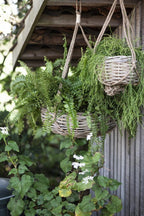  Hängekorb Rattan, H: 13 Cm Ø: 36 Cm
