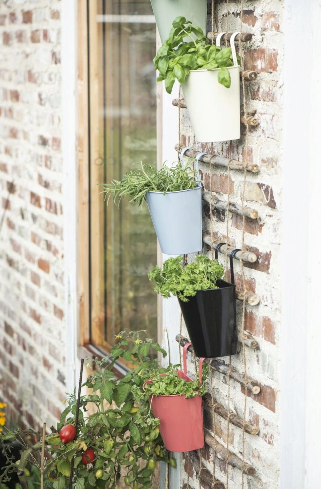  Wandspalier Für Töpfe & Kletterpflanzen