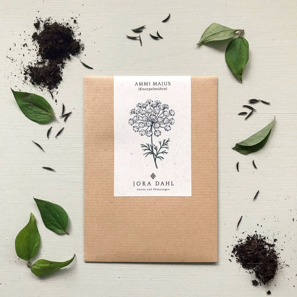  Knorpelmöhre - Ammi Majus