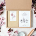  Trockenblumen Set "Flowers To Dry - The Great Collection"