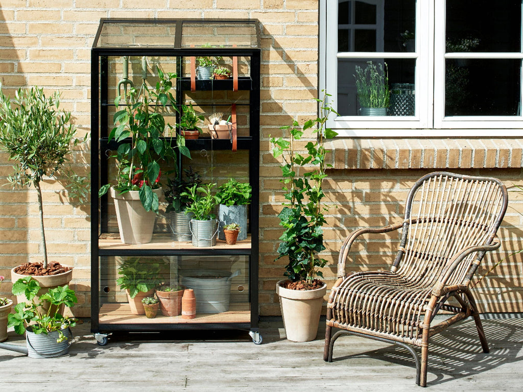 Juliana Gewächshaus Urban - City Greenhouse