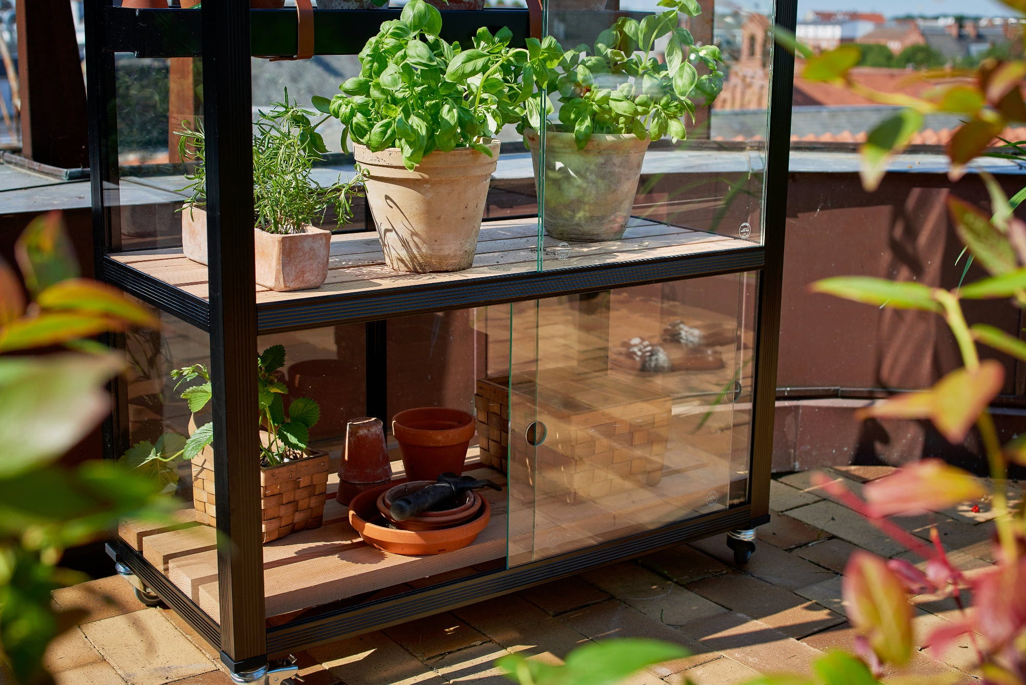 Juliana Gewächshaus Urban - City Greenhouse