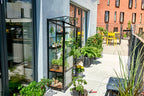 Juliana Gewächshaus Urban - City Greenhouse