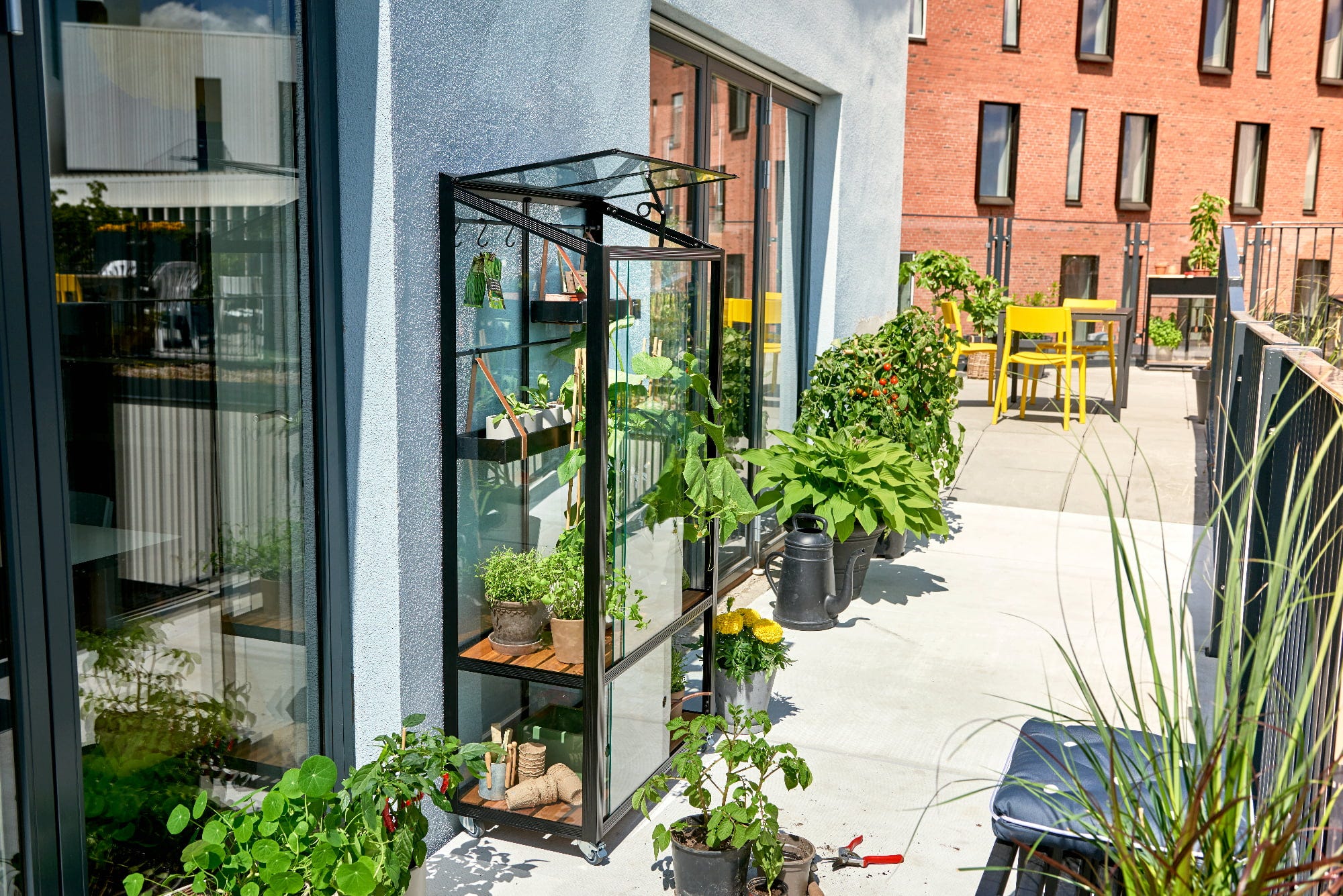 Juliana Gewächshaus Urban - City Greenhouse