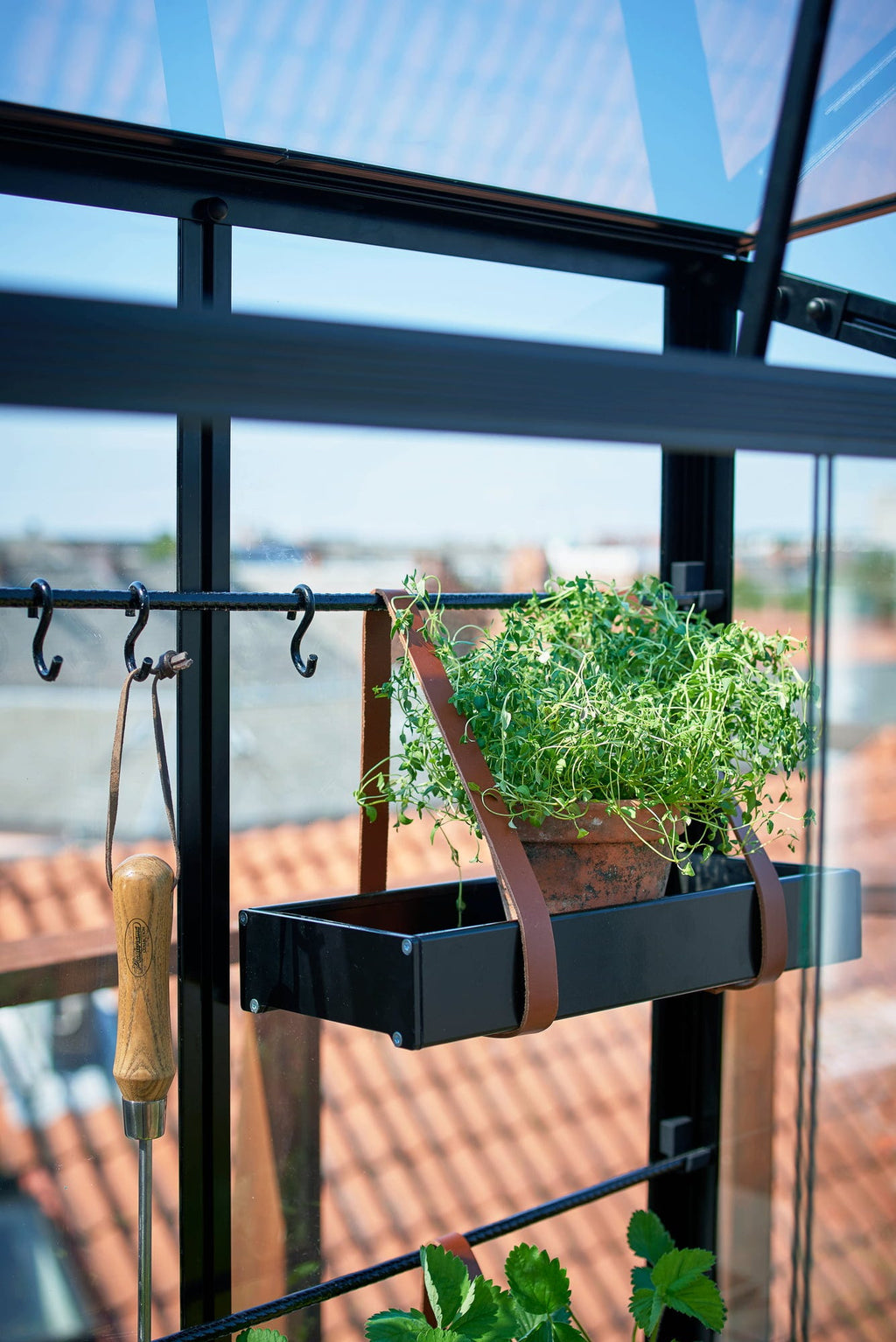 Juliana Gewächshaus Urban - City Greenhouse