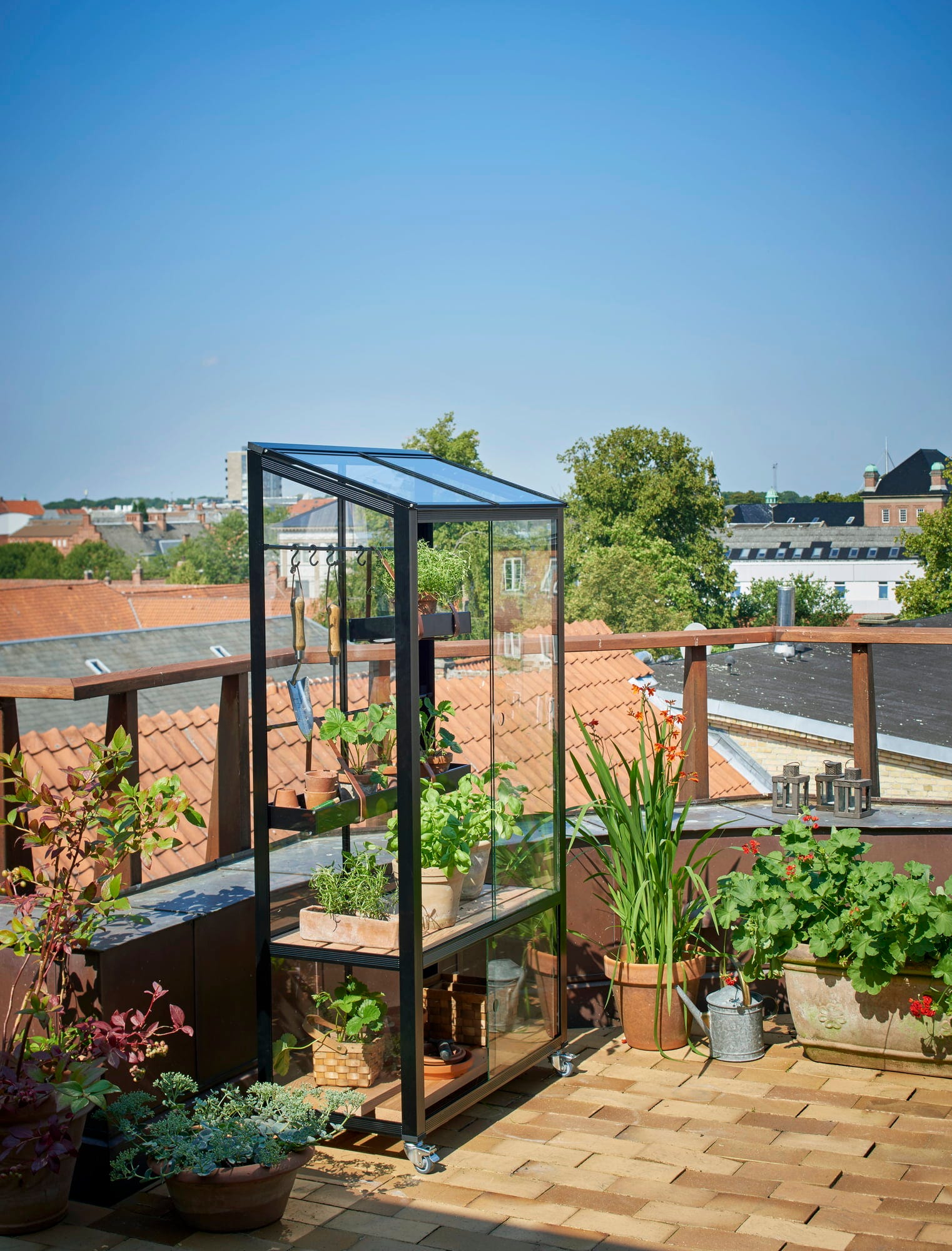Juliana Gewächshaus Urban - City Greenhouse