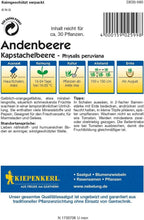  Andenbeere