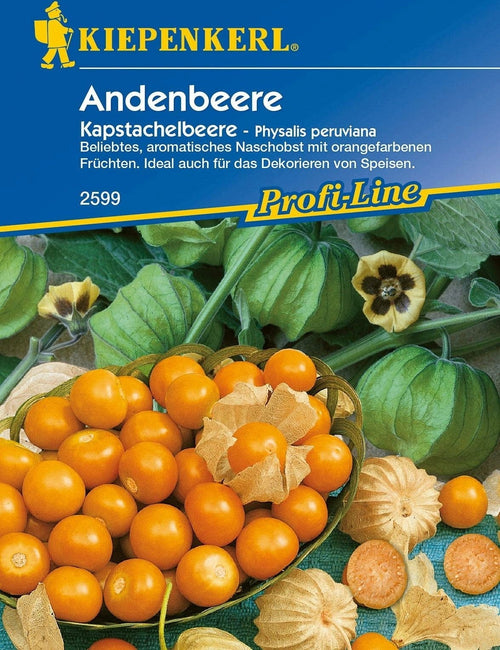  Andenbeere
