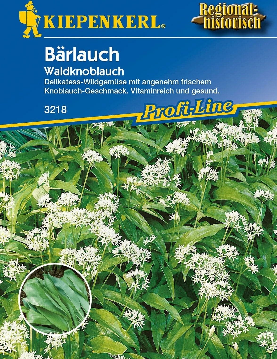  Bärlauch "Waldknoblauch"