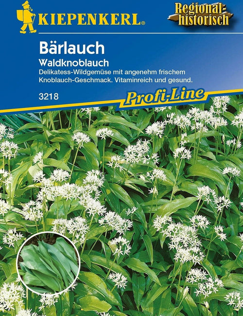  Bärlauch "Waldknoblauch"