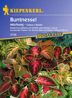  Buntnessel
