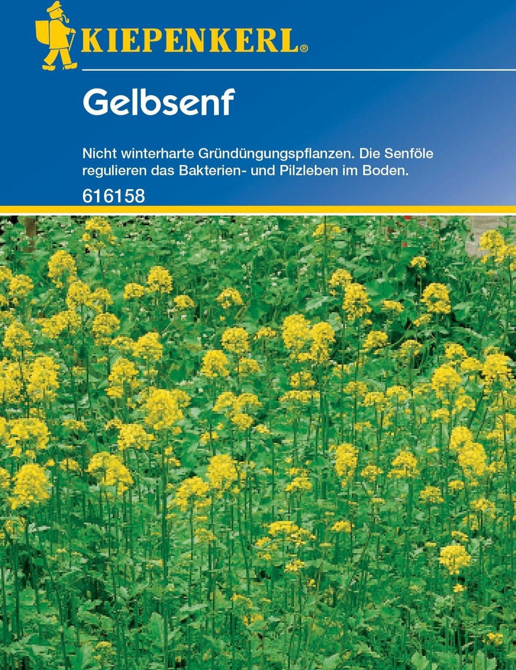  Gelbsenf, 80 G