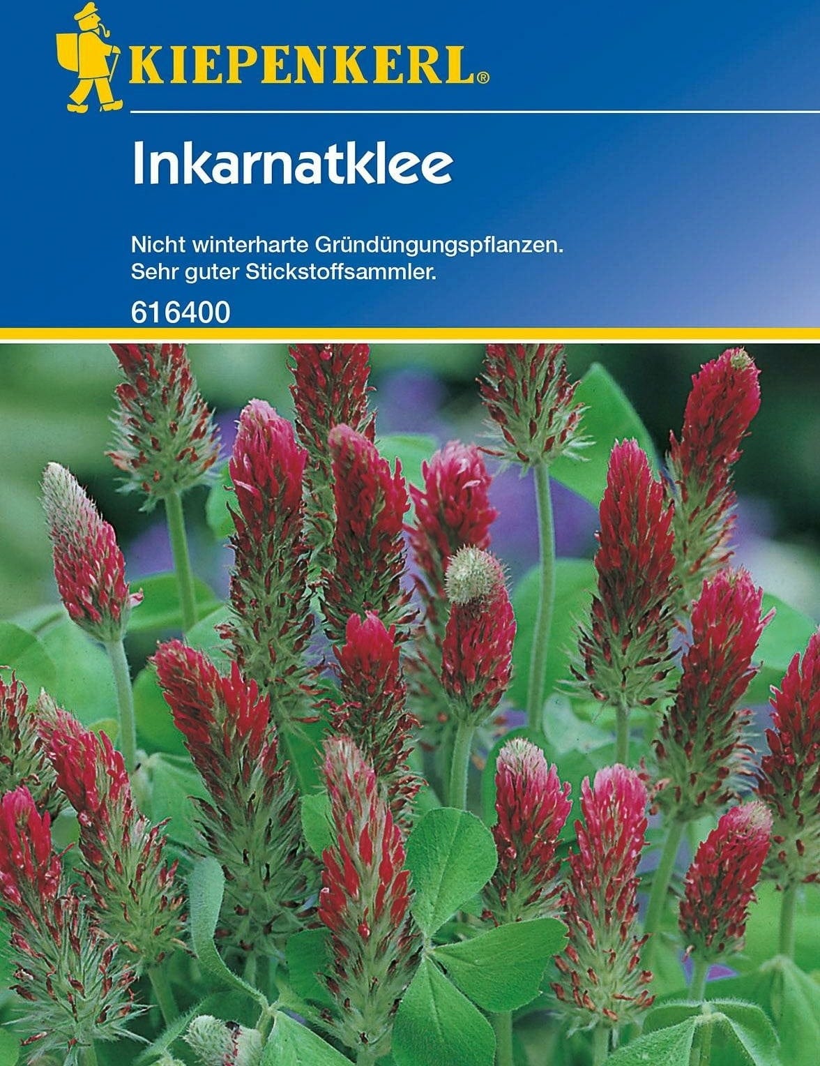  Inkarnatklee, 75 G