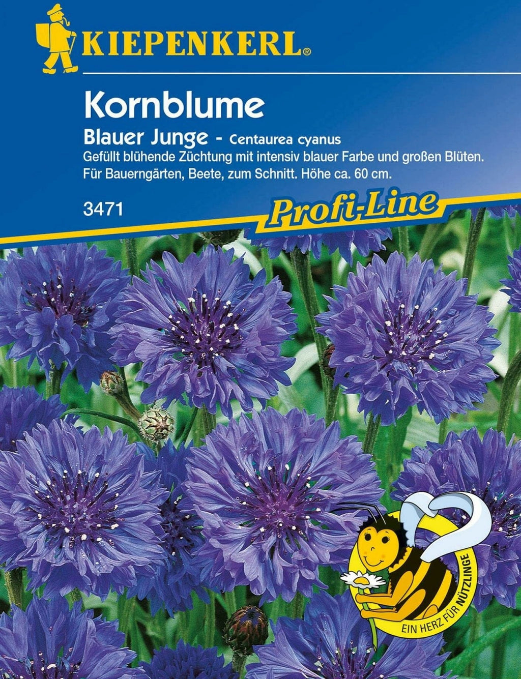  Kornblume "Blauer Junge"