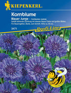  Kornblume "Blauer Junge"