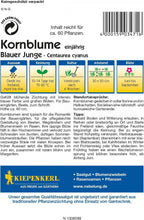  Kornblume "Blauer Junge"