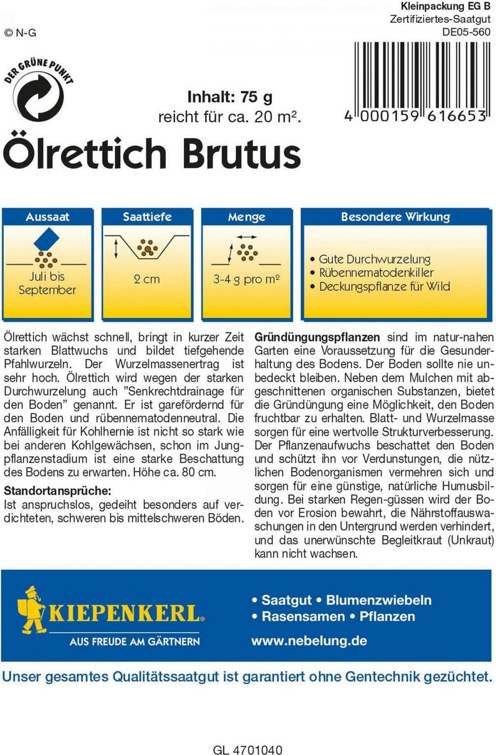  Ölrettich "Brutus"
