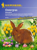  Ostergras