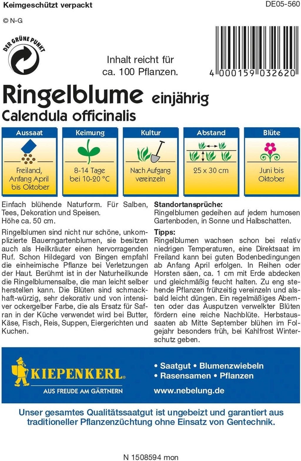 Ringelblume