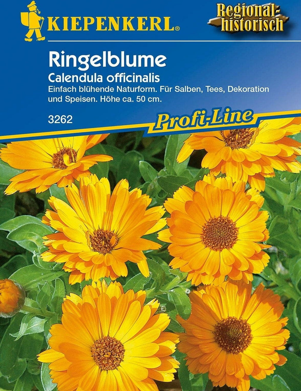  Ringelblume