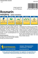  Rosmarin Mehrjährig
