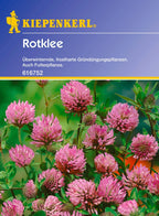  Rotklee