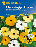  Schwarzäugige Susanne "Mischung"