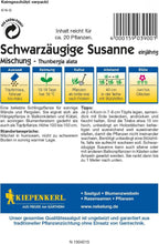  Schwarzäugige Susanne "Mischung"