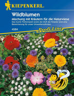  Wildblumen & Kräuter
