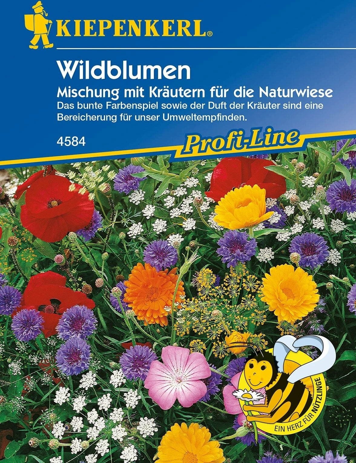  Wildblumen & Kräuter