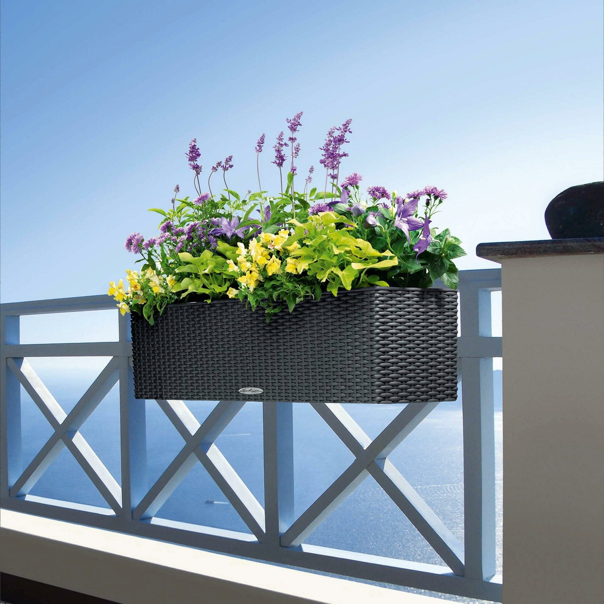 LECHUZA BALCONERA Starter Set