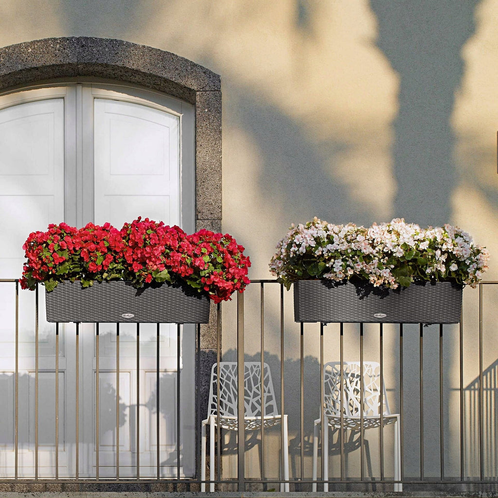LECHUZA BALCONERA Starter Set