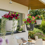 LECHUZA Blumenampel NIDO Cottage 35, Weiß