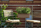 LECHUZA Pflanzgefäß BALCONERA Color 50, Schiefergrau
