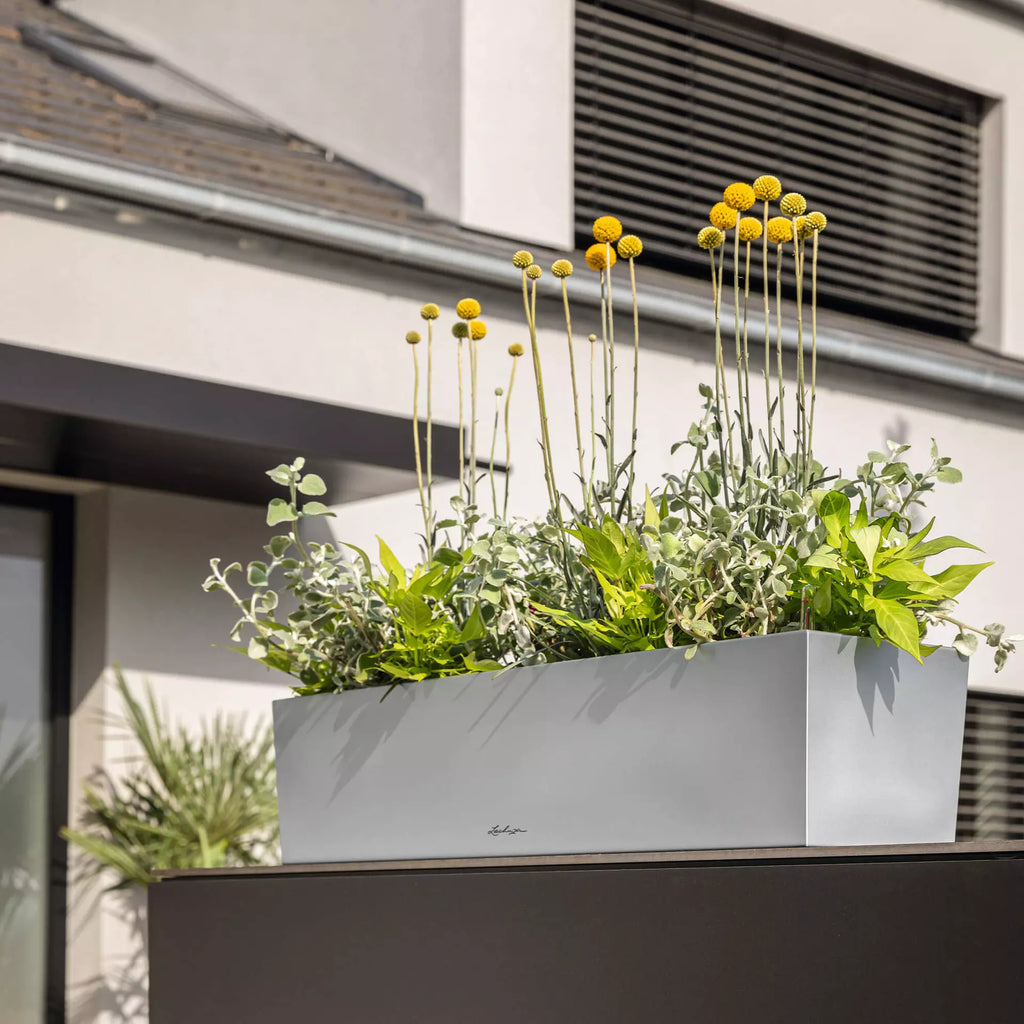 LECHUZA Pflanzgefäß BALCONERA Steel, 50 Cm