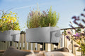 LECHUZA Pflanzgefäß BALCONERA Steel, 50 Cm