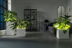 LECHUZA Pflanzgefäß CANTO Premium 40 High, LED, Silber Metallic
