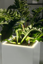 LECHUZA Pflanzgefäß CANTO Premium 40 High, LED, Silber Metallic