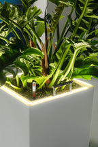 LECHUZA Pflanzgefäß CANTO Premium 40 High, LED, Silber Metallic