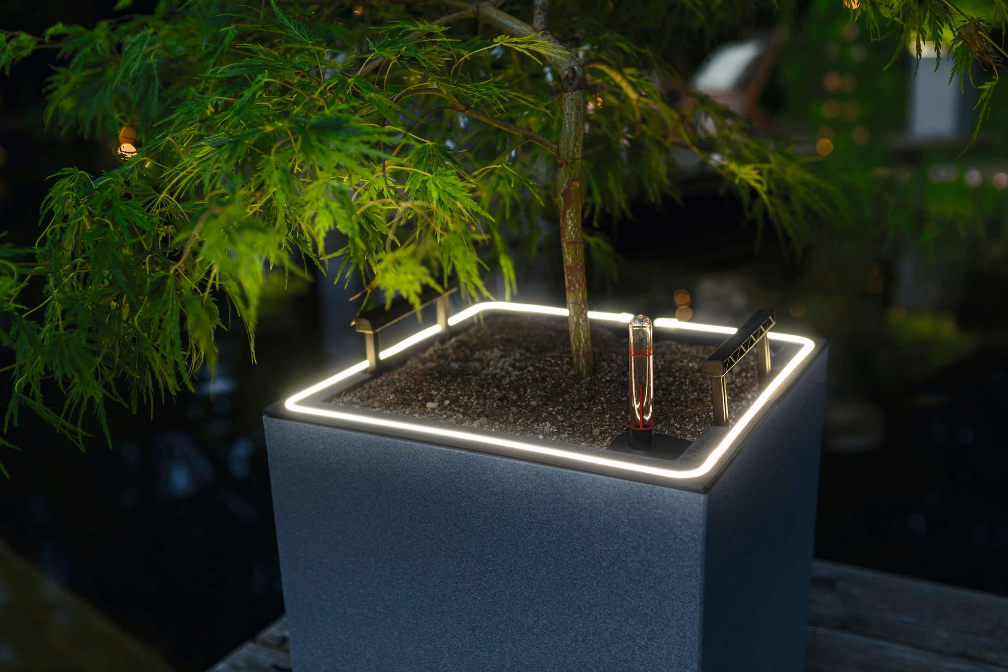 LECHUZA Pflanzgefäß CANTO Stone 30 LED Low, Steingrau