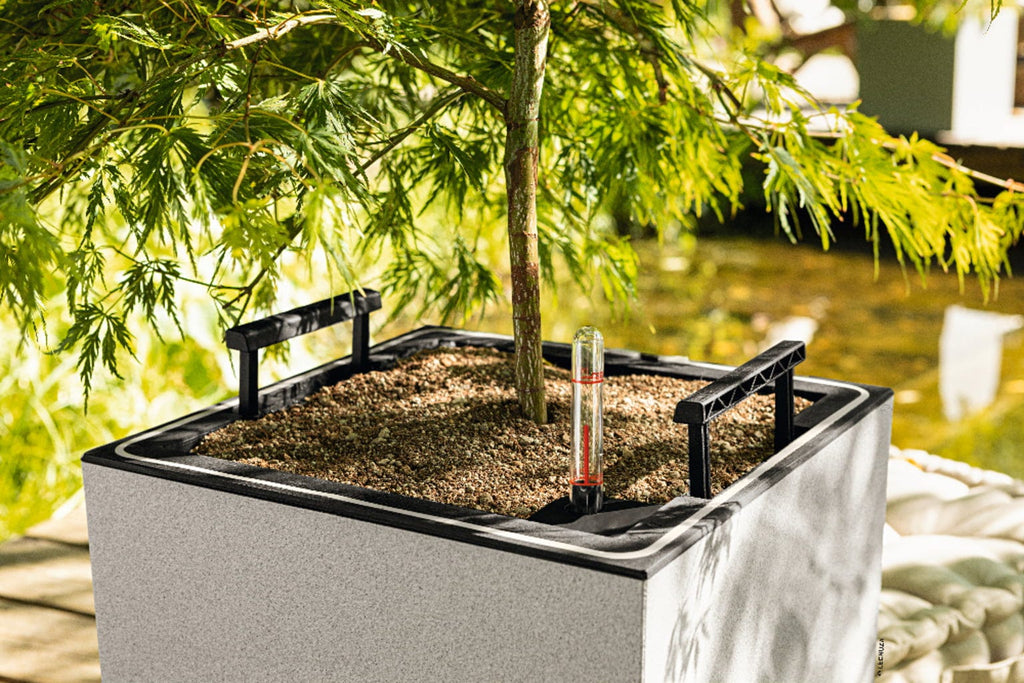 LECHUZA Pflanzgefäß CANTO Stone 30 LED Low, Steingrau