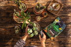 LECHUZA Substrat Cactus-PON, 6 Liter