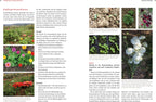  Bio-Schnittblumen Aus Dem Eigenen Garten