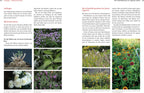  Bio-Schnittblumen Aus Dem Eigenen Garten