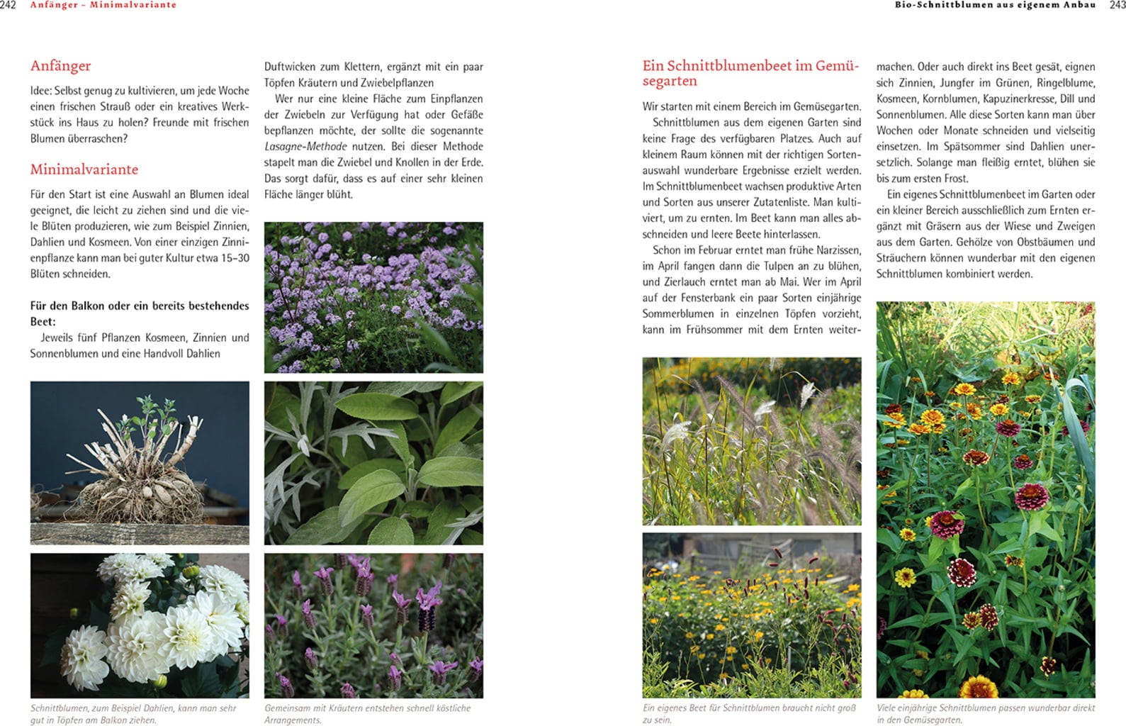  Bio-Schnittblumen Aus Dem Eigenen Garten