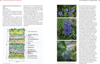  Bio-Schnittblumen Aus Dem Eigenen Garten