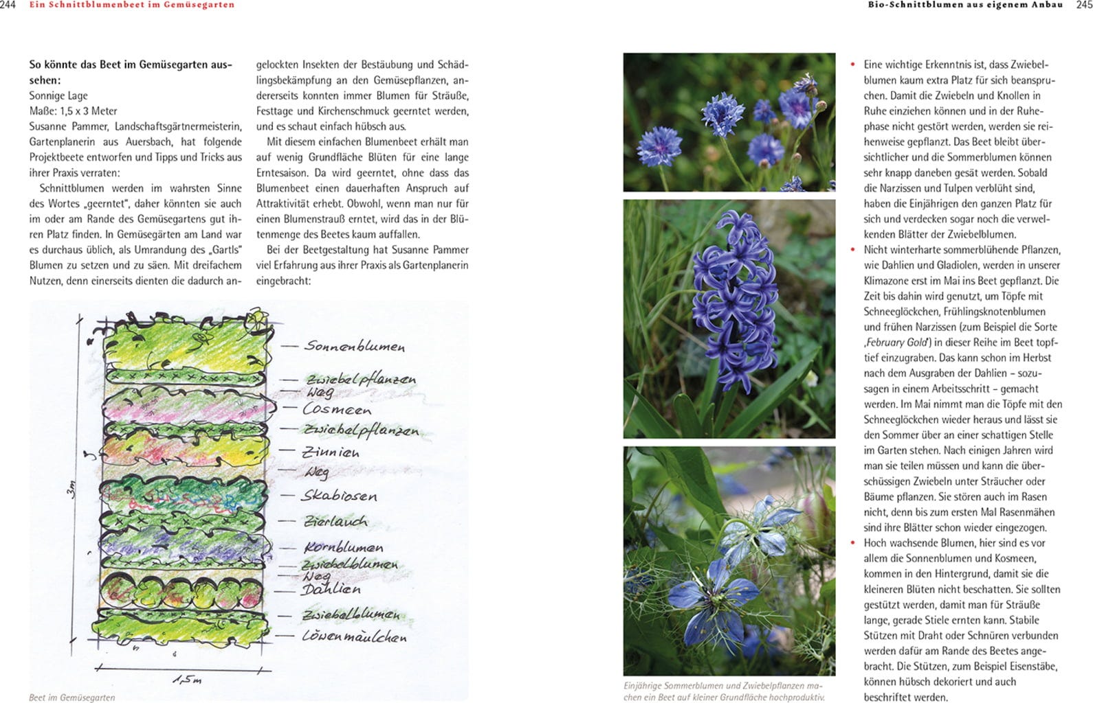  Bio-Schnittblumen Aus Dem Eigenen Garten