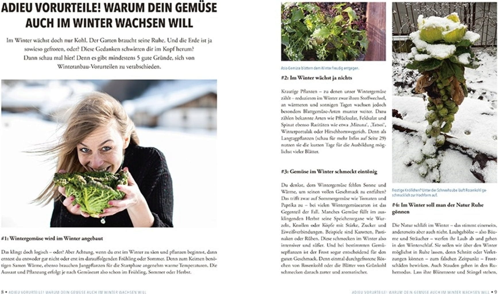  Das Sensationelle Winterhochbeet