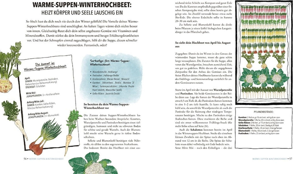  Das Sensationelle Winterhochbeet