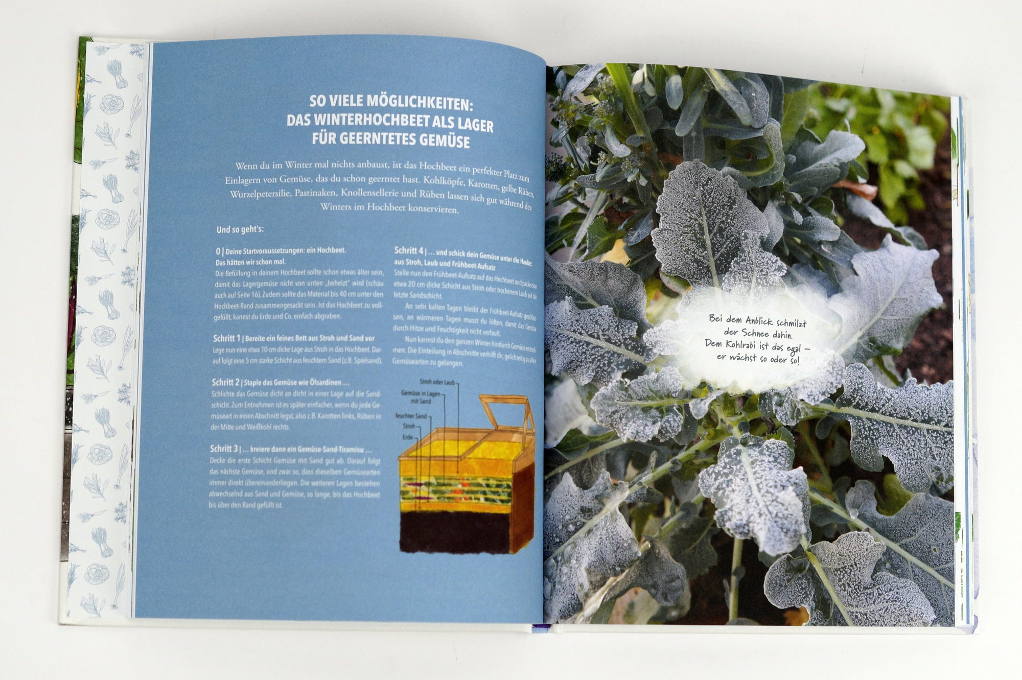 Das Sensationelle Winterhochbeet